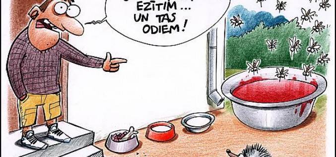 Pirmās palīdzības aptieciņa Līgo svētkiem